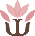 features image